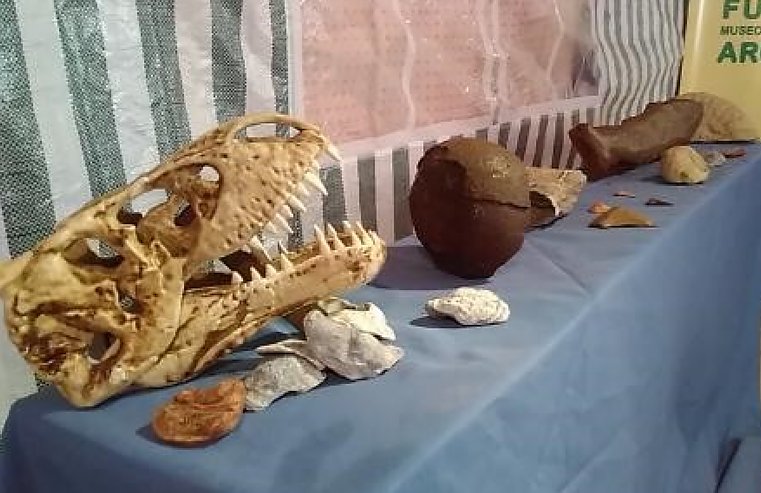 Fósiles, reptiles y aves: Una propuesta diferente llega a Suardi
