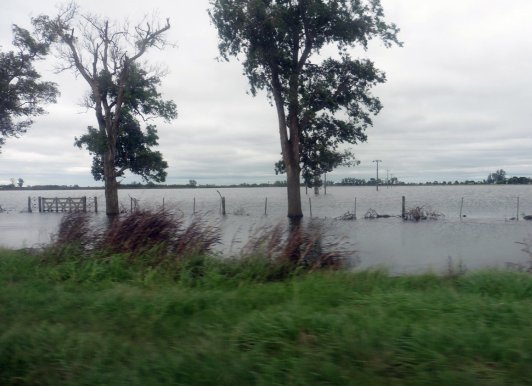 Santa Fe formalizó la declaración de emergencia agropecuaria