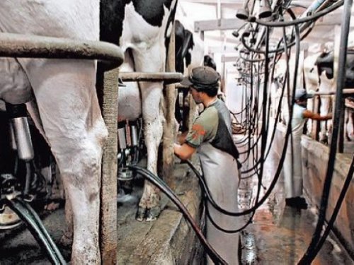 Productores de Córdoba también se movilizan por la crisis de la leche