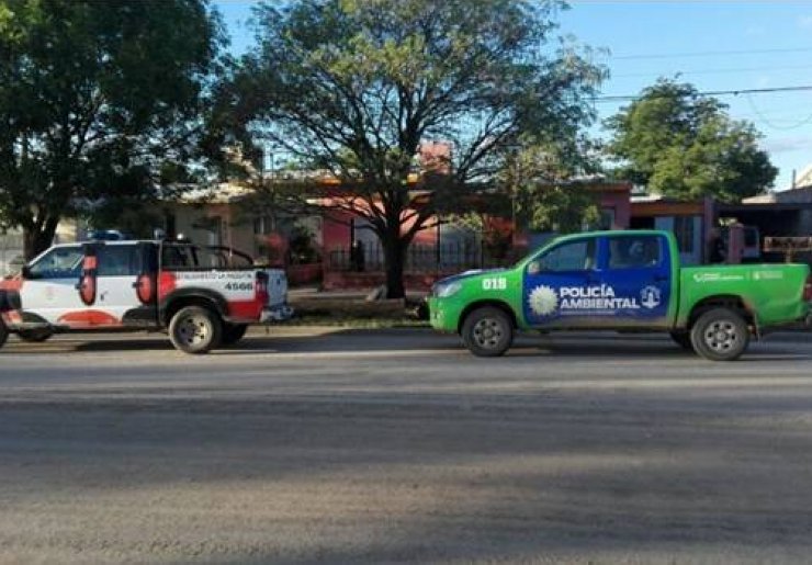 Brinkmann: Allanamientos por aves prohibidas y amenazas