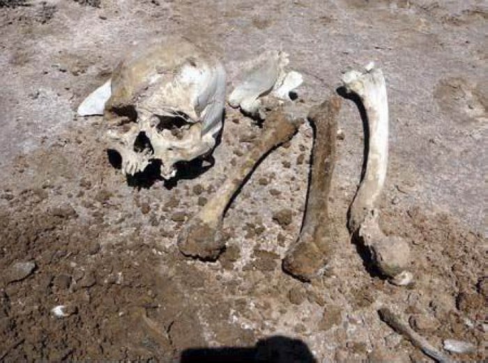 Encontraron más restos óseos de aborígenes en laguna del Plata