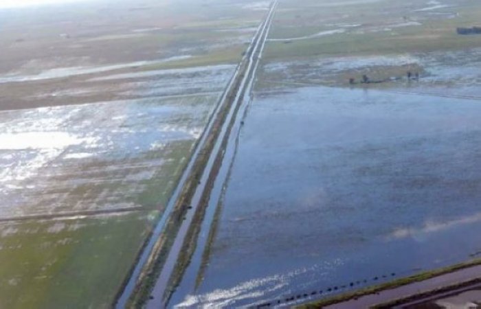 Declararon la emergencia agropecuaria nacional