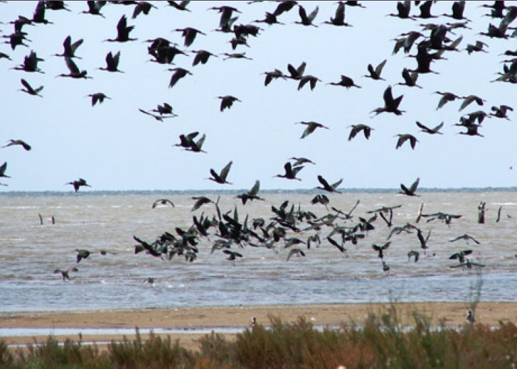 La laguna Mar Chiquita más cerca de ser un Parque Nacional