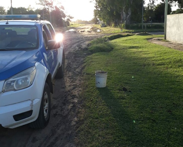 Pasó ante un control policial con una planta de marihuana en un balde