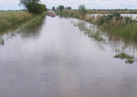 Michlig pide por la extensión de la emergencia agropecuaria