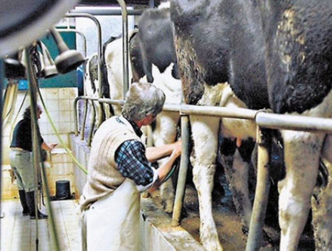 Se oficializó la línea de créditos para tamberos