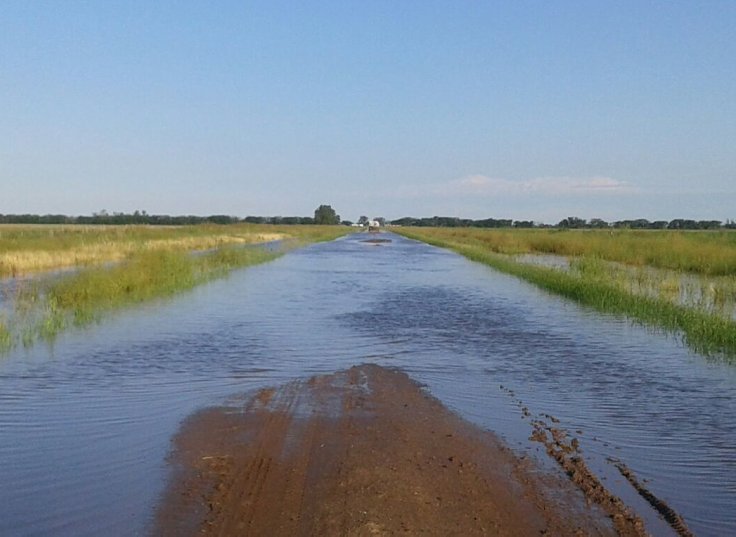 Calvo pide que se prorrogue la Emergencia Agropecuaria
