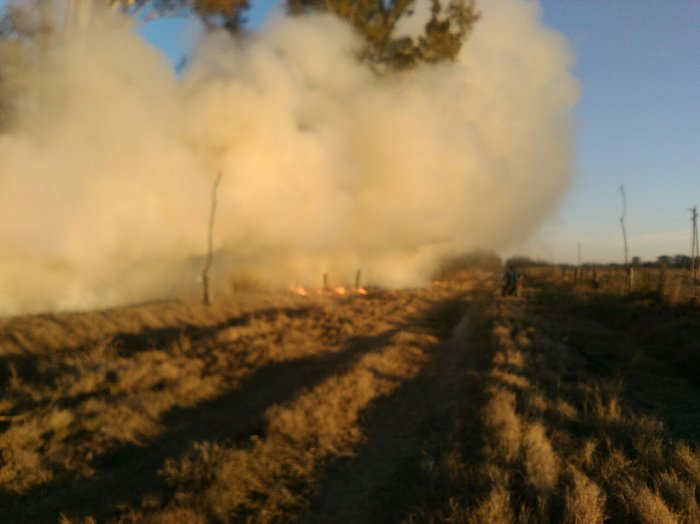 Murieron dos personas en un incendio de campos en Col. Bossi