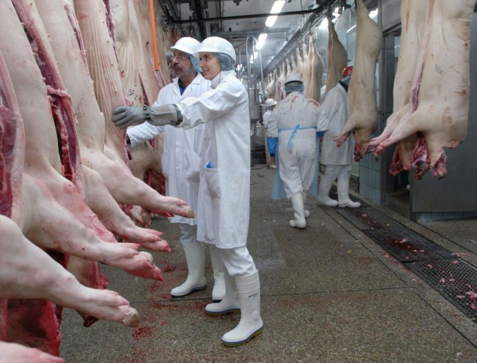 Preocupa la importación de carne de cerdo desde los EEUU