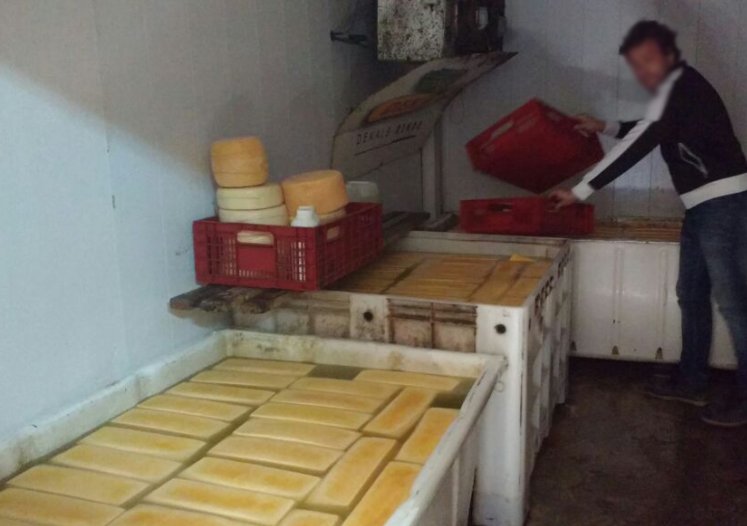 Col. San Bartolomé: Secuestraron más de 200 hormas de queso 