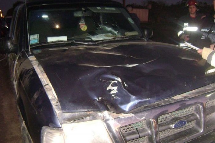 Caballos provocaron accidentes en Morteros y Luxardo